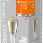 Ledvance Smart+ Filament Edison E27 Leuchtmittel, 6W, Light Grey, im Karton.
