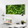 Silberne Magnettafel 78x37cm mit Efeu-Motiv als Wanddekoration mit Magneten.