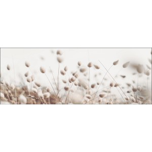 Pro Art Glasbild Field Flowers, 80x30 cm, mit zarten Gräsern in Beige und Weiß.