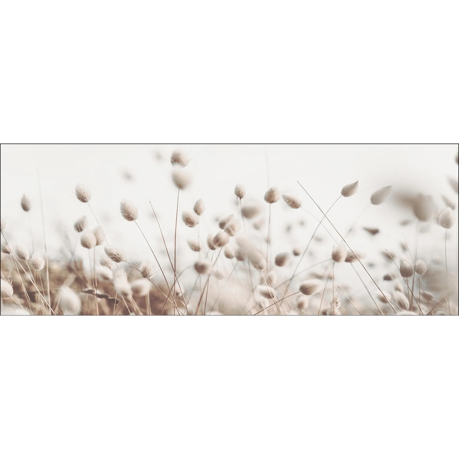 Pro Art Glasbild Field Flowers, 80x30 cm, mit zarten Gräsern in Beige und Weiß.
