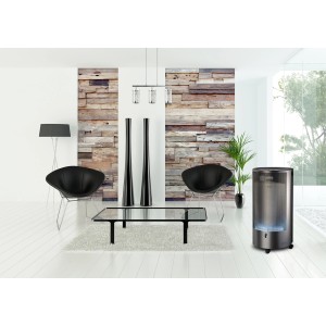 Rowi Gas-Heizofen Pure Blue Flame 4.200 W Inox im Wohnraum. Mobile Gasheizung mit Thermostat.