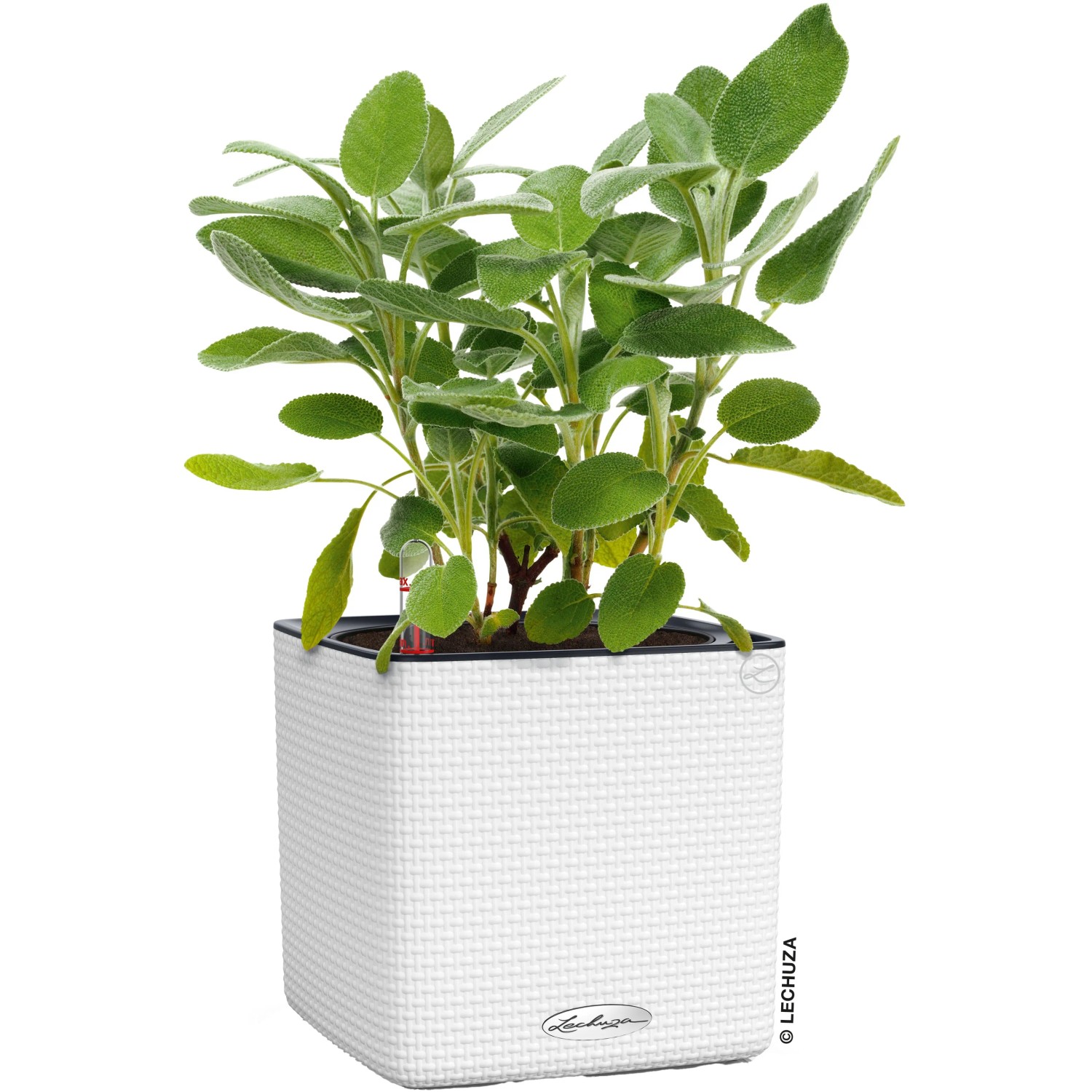 blumenkasten volumen berechnen Berechnen Sie, wie viel Erde Sie für Ihren Pflanzkasten benötigen – Der  Stahlgarten main image 1