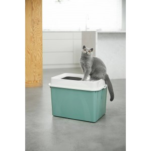 Rotho Katzentoilette Eco Berty in Mistletoe Green mit Katze.