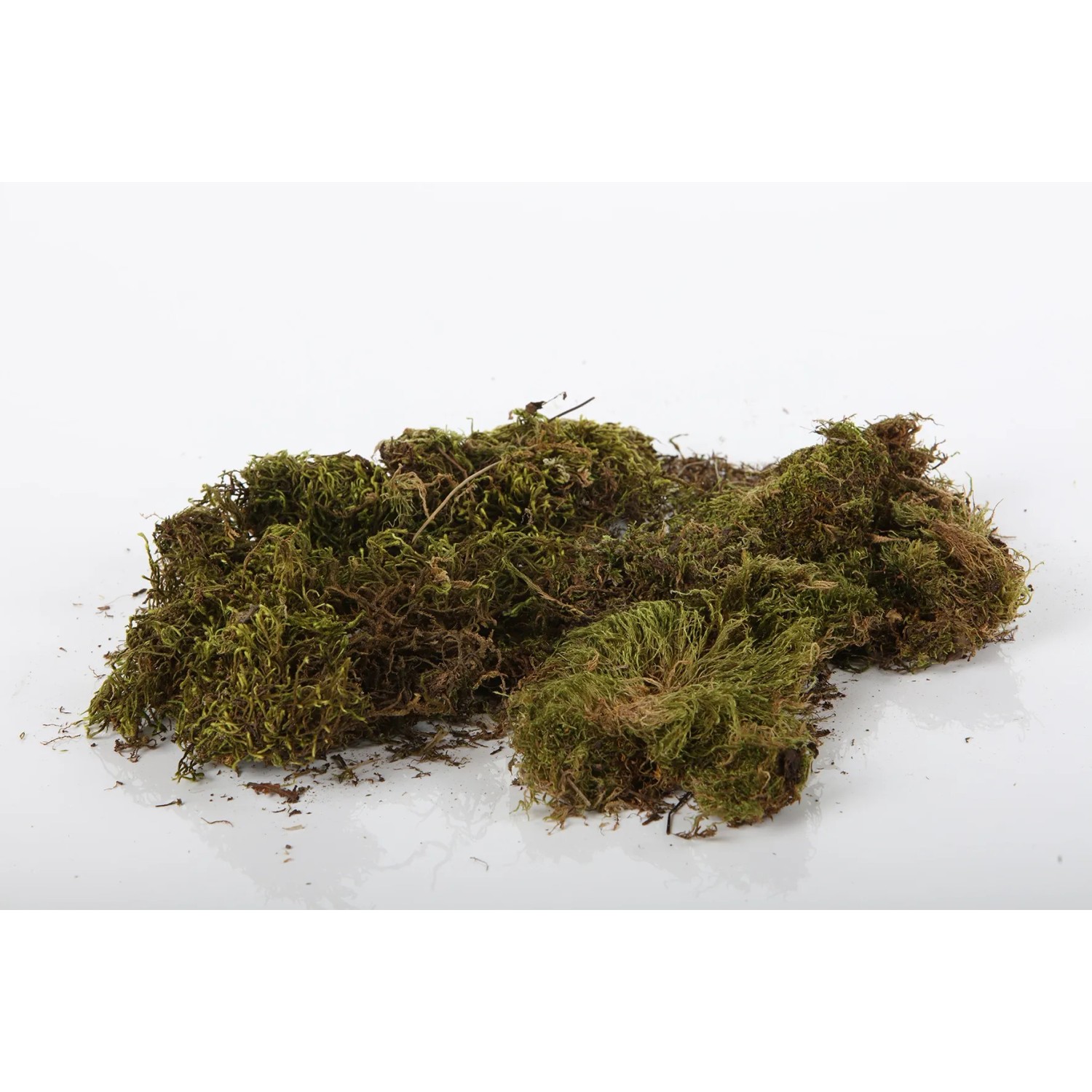 Grünes Deko Moos (50g) für Weihnachtsdekoration und Bastelarbeiten.