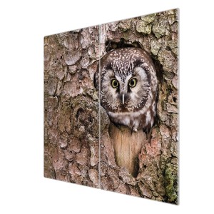 Banjado 2-teilige Herdabdeckplatte aus Glas mit Eulenmotiv, je 30x52 cm.