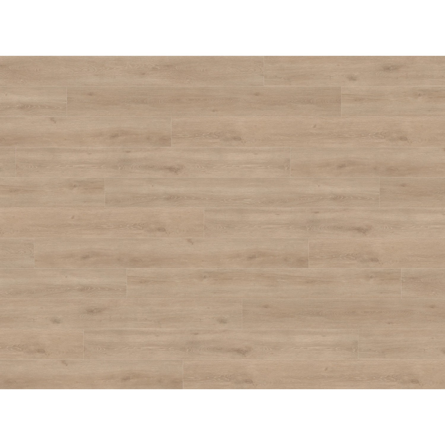 Living by Haro Laminatboden XL Diele 4V Eiche Veneto Crema