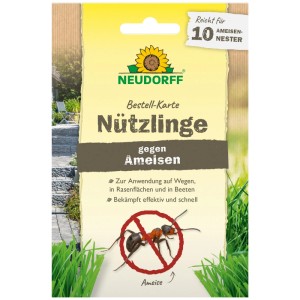 Neudorff Bestell-Karte Nützlinge gegen Ameisen für 10 Nester. Karte mit Symbolbild Ameise.