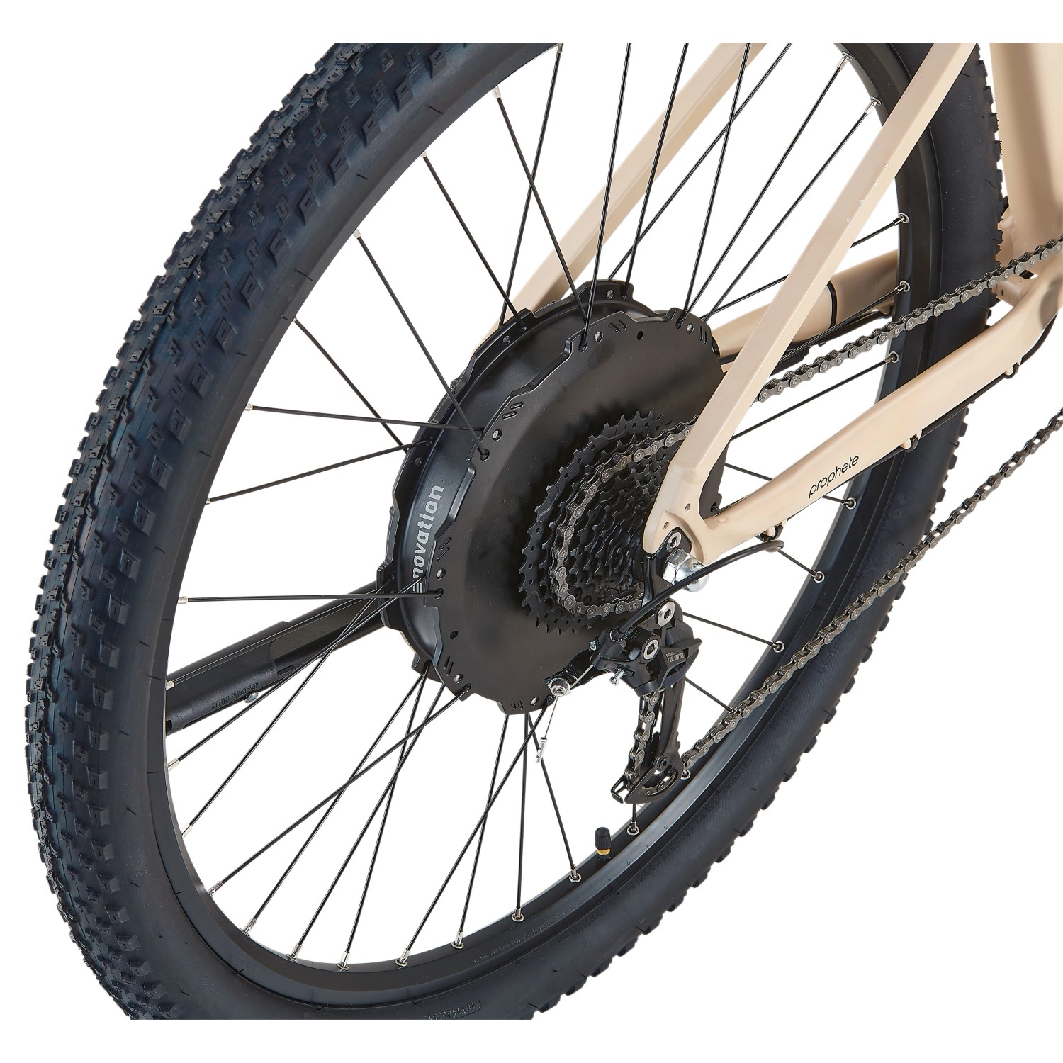 Detailaufnahme Hinterrad, Motor und Schaltung des sandbeigen Prophete E-Bike MTB Dice 2.0.