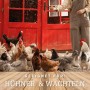 Hühnerfutter: Vielfältige Hühnerschar vor rotem Stall, geeignet für Hühner und Wachteln.