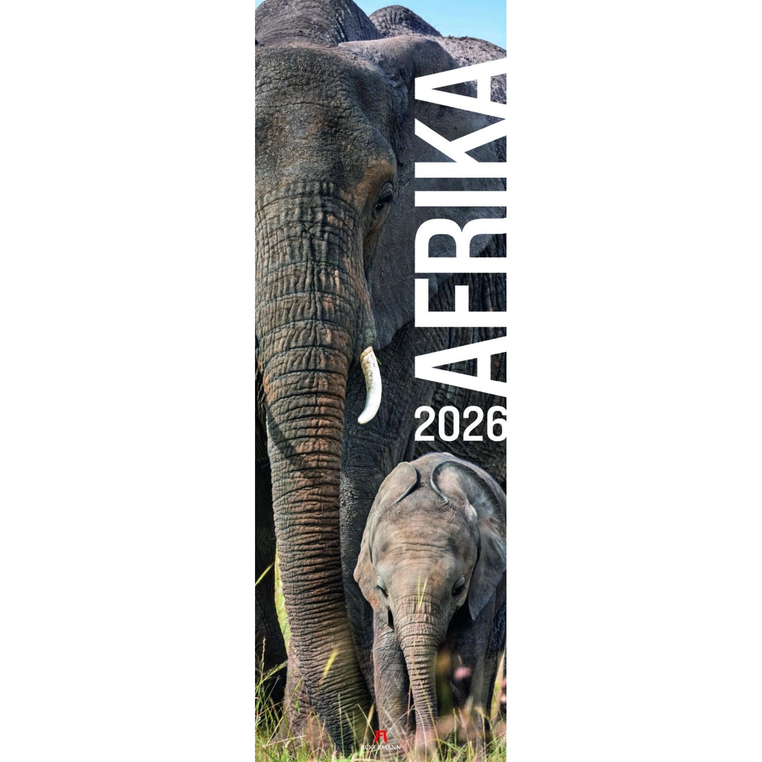 Afrika Vertikal Kalender 2026 günstig online kaufen