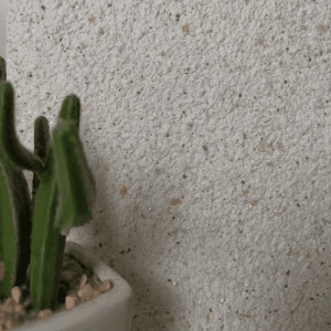 Floxxan Baumwollputz California 203, weiße Flüssigtapete mit Farbchips.