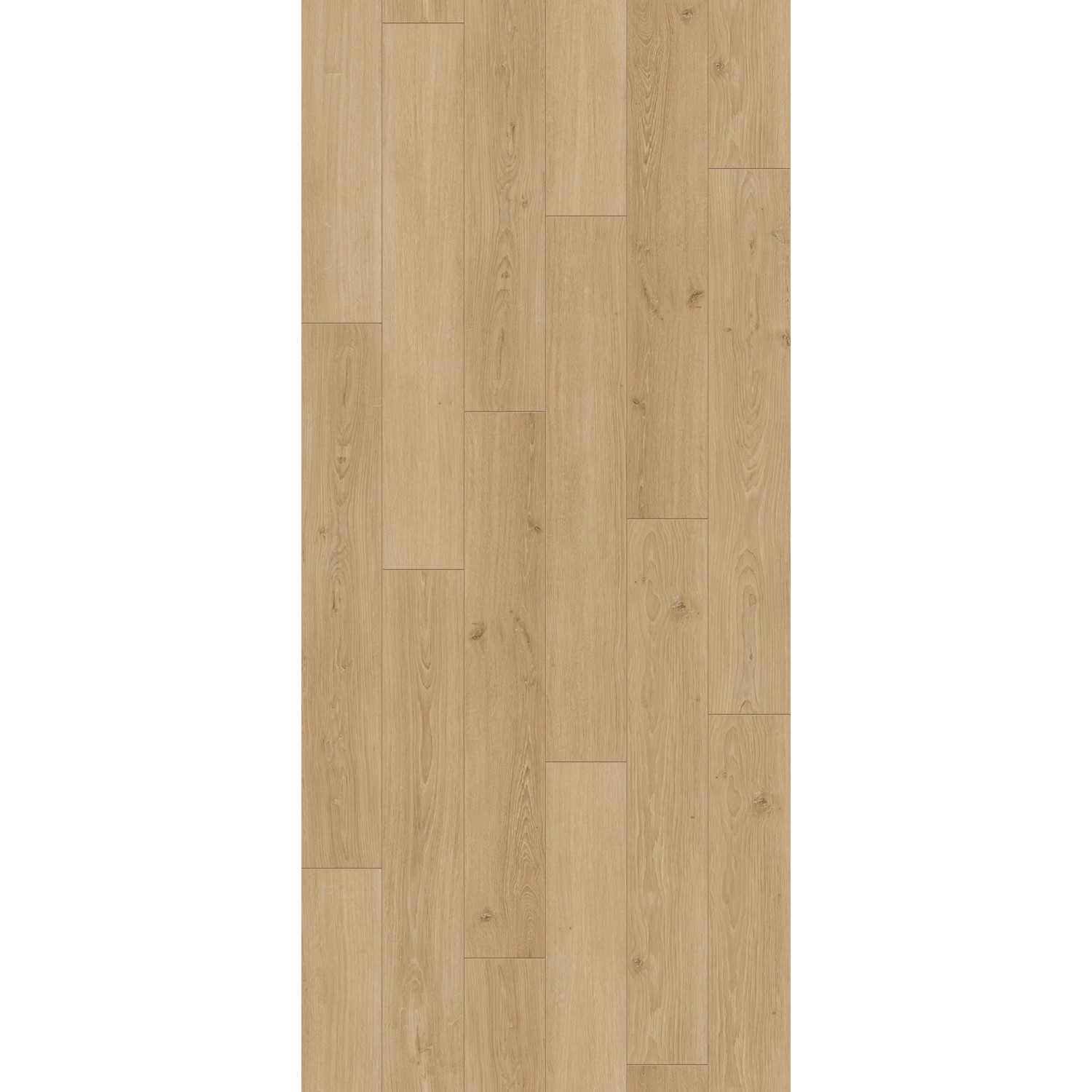 Parador Laminat Classic 1050, Eiche Studioline Natur, wasserfest, 8 mm stark.