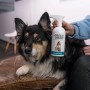 GreenHero Haustierpflege Spray gegen Juckreiz und Milben, mit Hund.