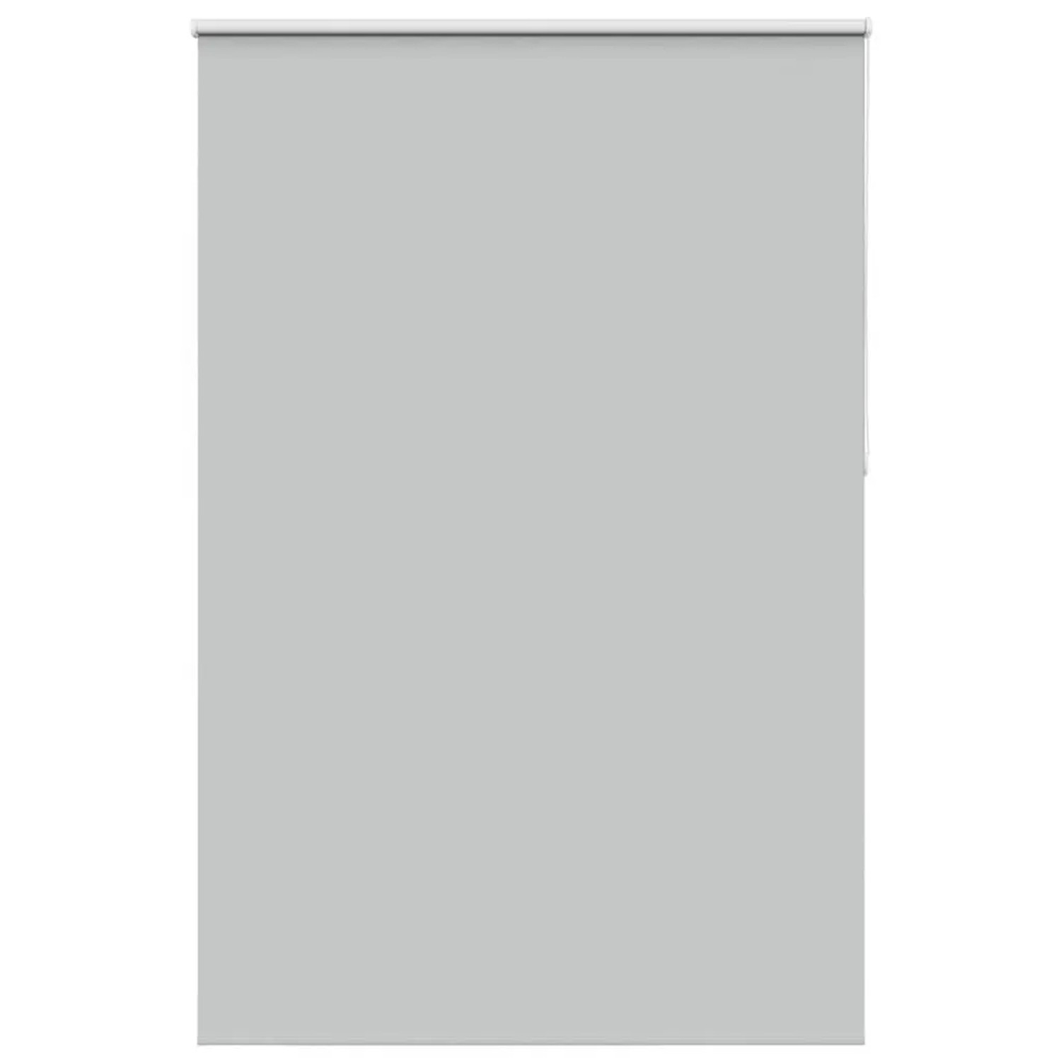 vidaXL Verdunkelungsrollo Hellgrau 150x230cm Stoffbreite 146,6cm 4011476 günstig online kaufen