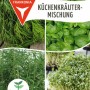 FRANKONIA Küchenkräuter-Mischung Basilikum Bohnenkraut Dill Kresse