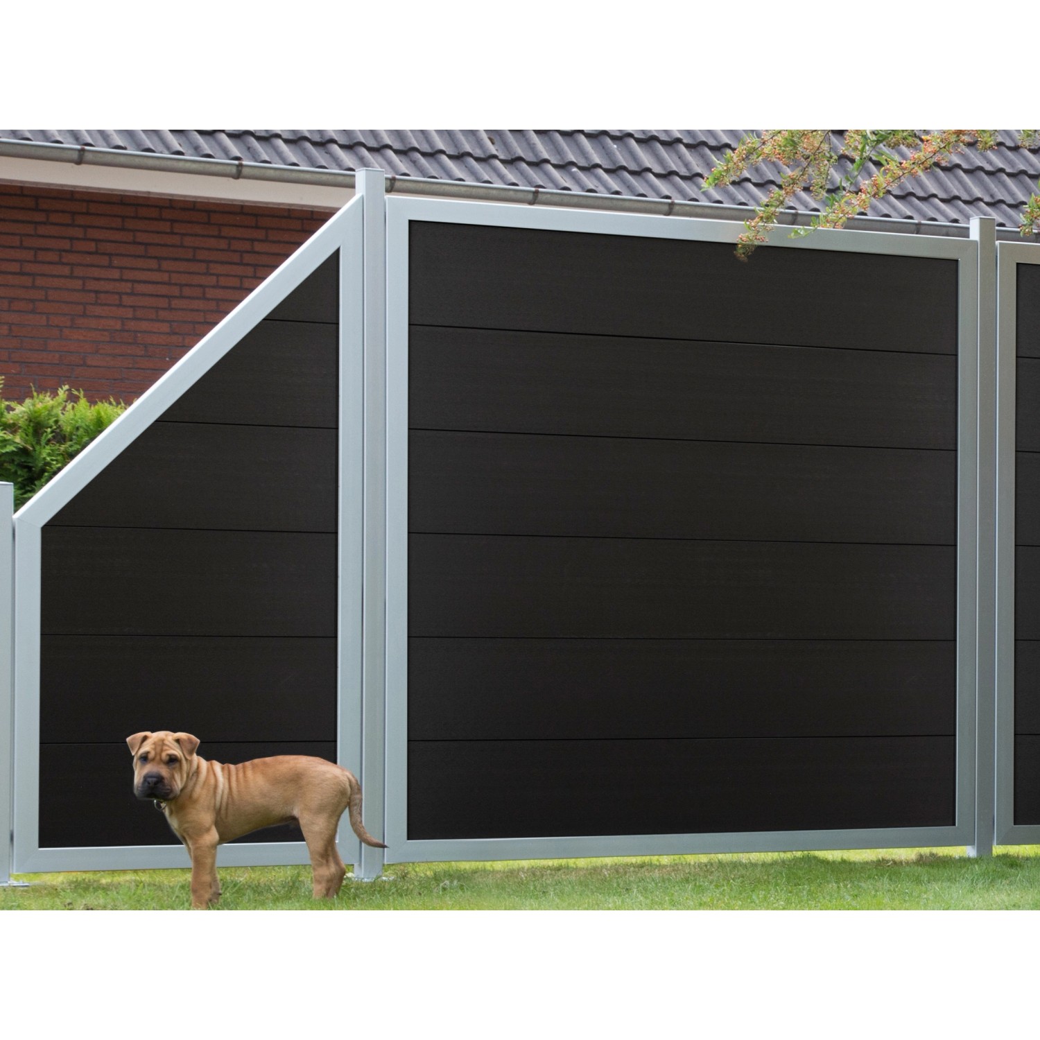 GroJaViento Zaunelement, anthrazitgrau mit silbernem Rahmen, im Garten mit Hund.