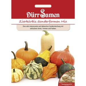 Dürr Samen Zierkürbis-Mix: Vielfältige Zierkürbisse in verschiedenen Formen und Farben.