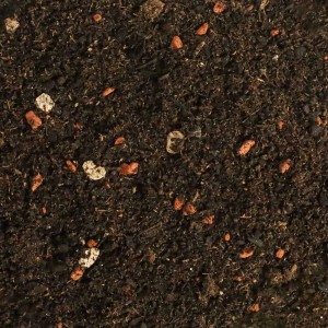 Dr.Soil Bonsai Substrat, 1L Beutel: Nahaufnahme der Erde mit kleinen Steinen und organischen Bestandteilen.