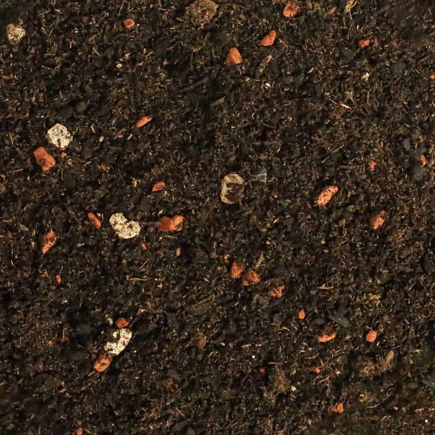 Dr.Soil Bonsai Substrat, 1L Beutel: Nahaufnahme der Erde mit kleinen Steinen und organischen Bestandteilen.