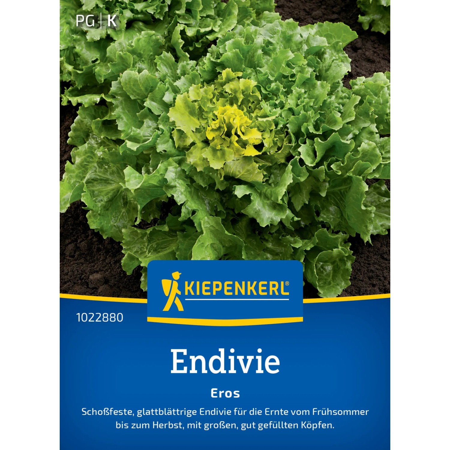 Kiepenkerl Endivie "Eros"