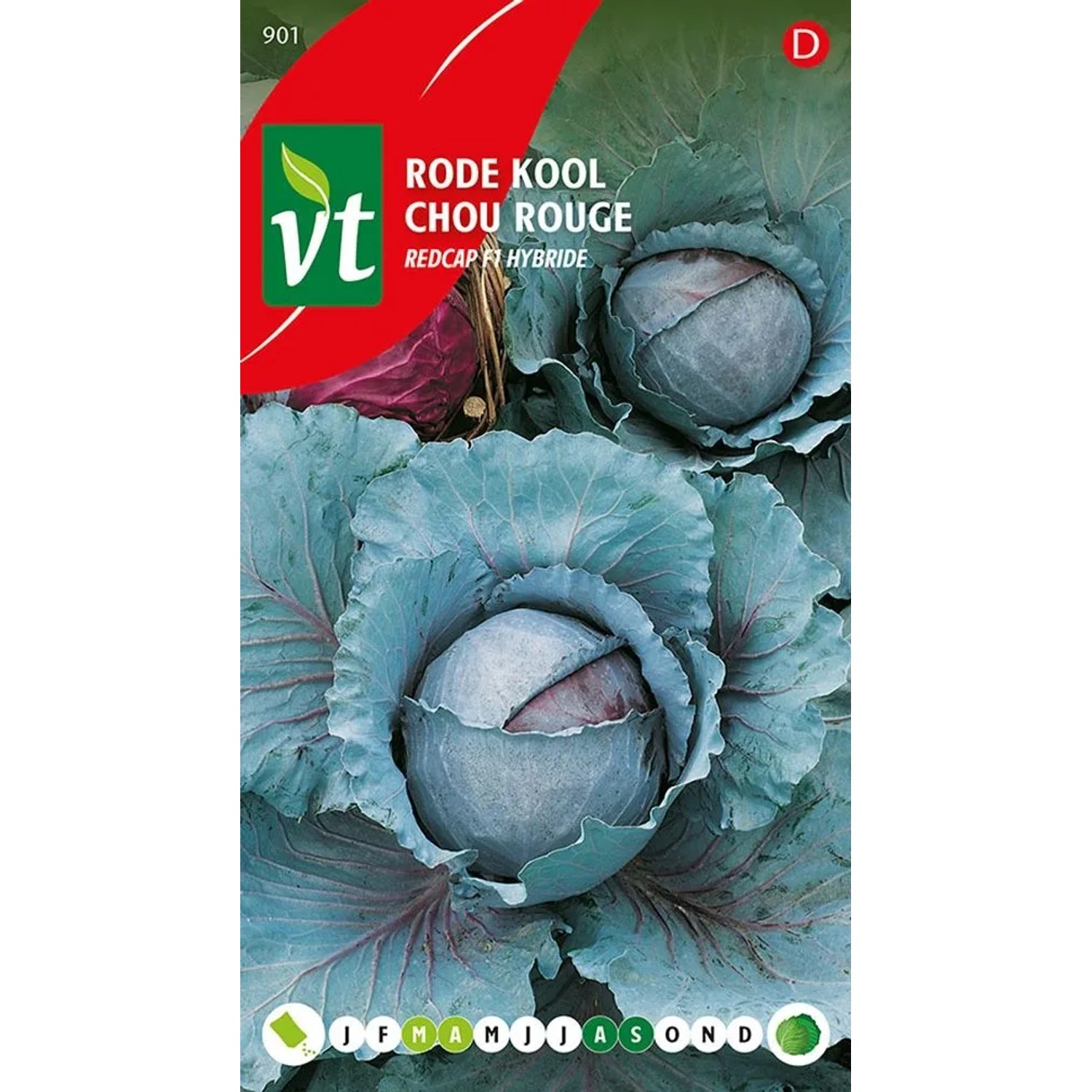Rotkohl Redcap F1-Hybride SamenCa. 0,3 grReich an Vitamin C