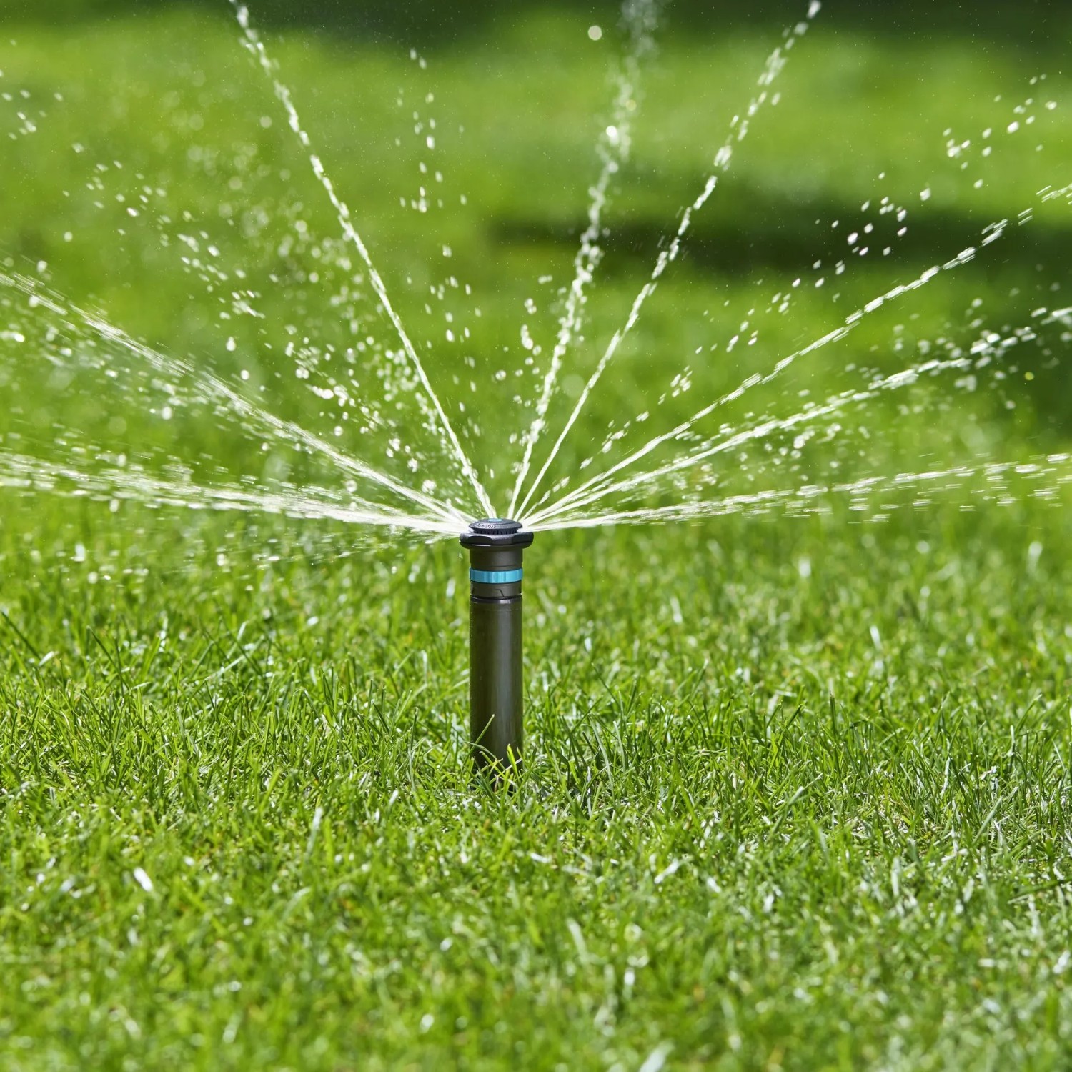 Gardena Versenkregner MD40 bewässert Rasenfläche. Sprinkler-System für automatische Rasenbewässerung.