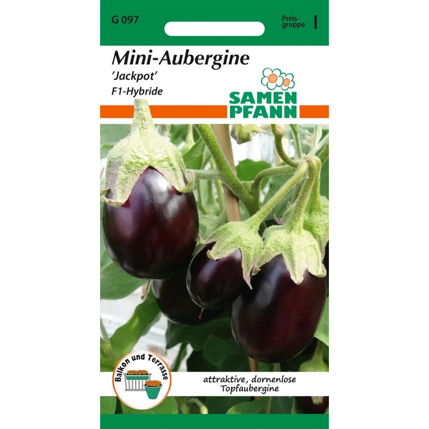 SAMEN PFANN Aubergine Mini-Aubergine Jackpot F1