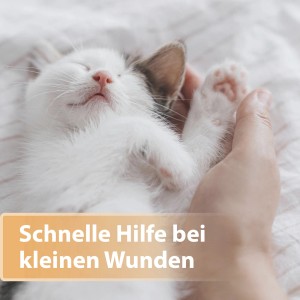 Schlafende Katze wird gehalten. Ideal zur Anwendung mit Felisept Wundspray für Katzen.