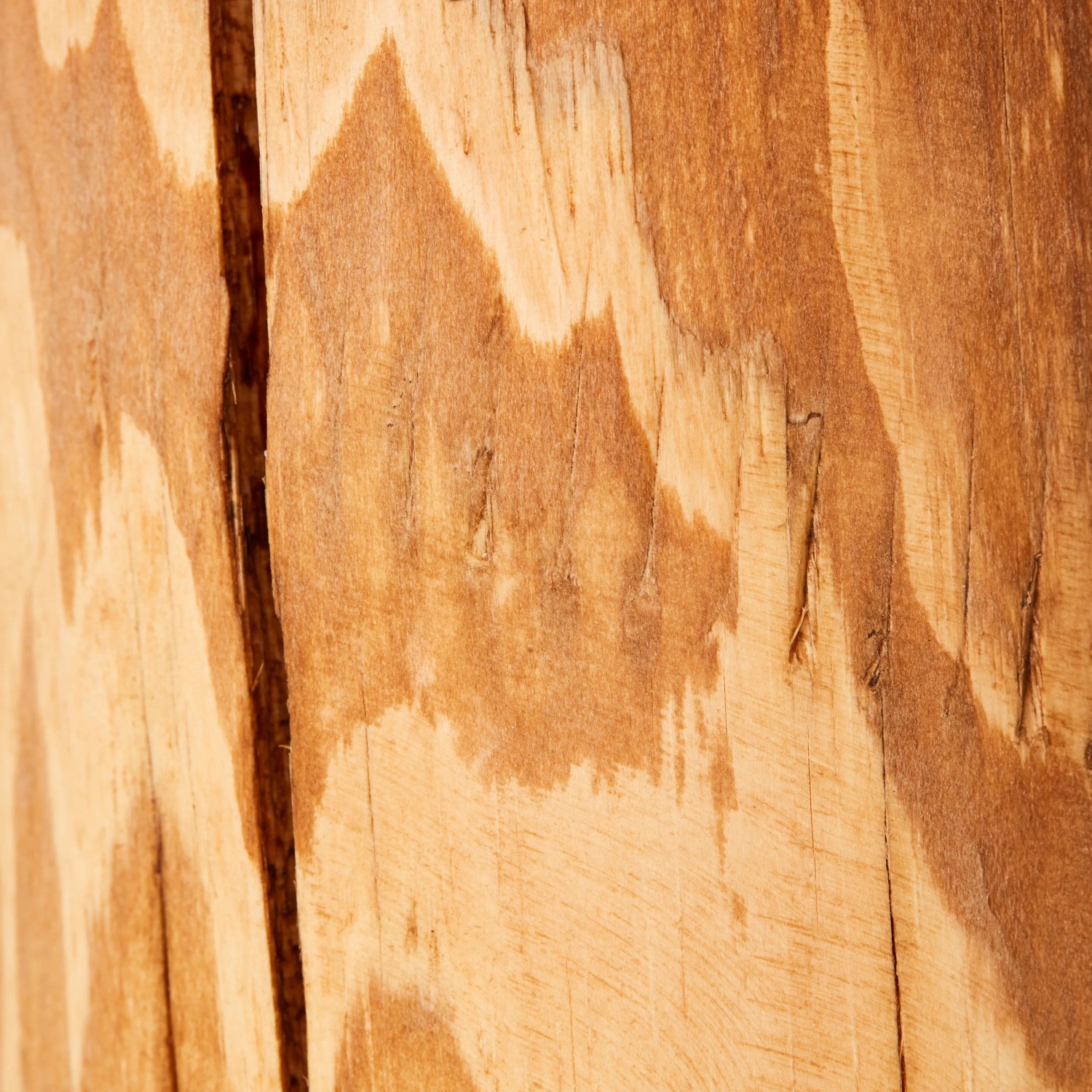 Detailaufnahme: Gebeiztes Kiefernholz der Brilliant Tischleuchte Jimena, FSC®-zertifiziert.