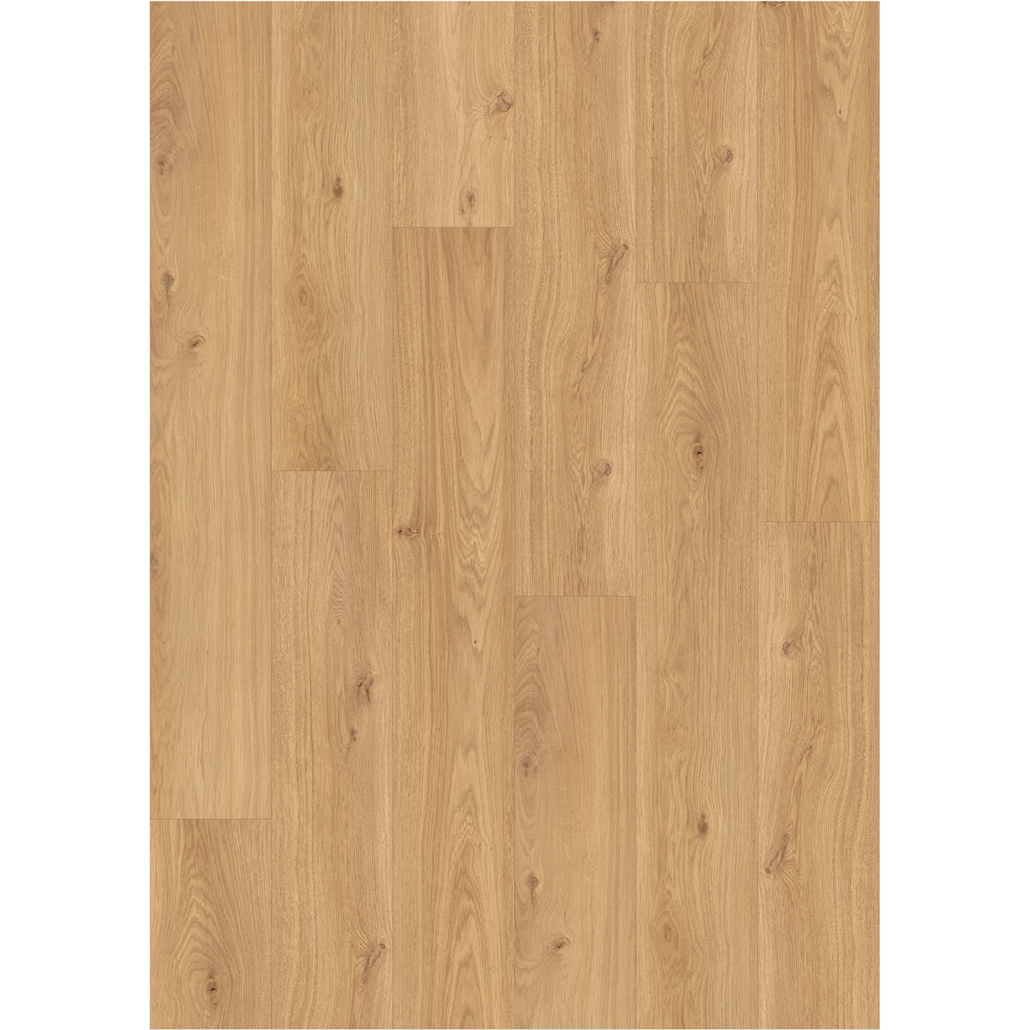 Click-Vinylboden Eiche Palermo Landhausdiele günstig online kaufen