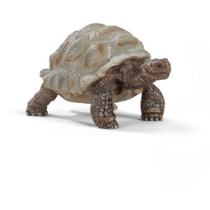 Detailgetreue Schleich Wild Life Riesenschildkröte als Spielzeugfigur.