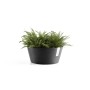 Dunkelgraue Ecopots Pflanzschale Frankfurt 40 cm mit Farn, ideal für Innen- und Außenbereich.