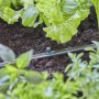 Gardena Sprühdüse 90° im Beet: Bewässerung für Beetecken mit Micro-Drip-System.