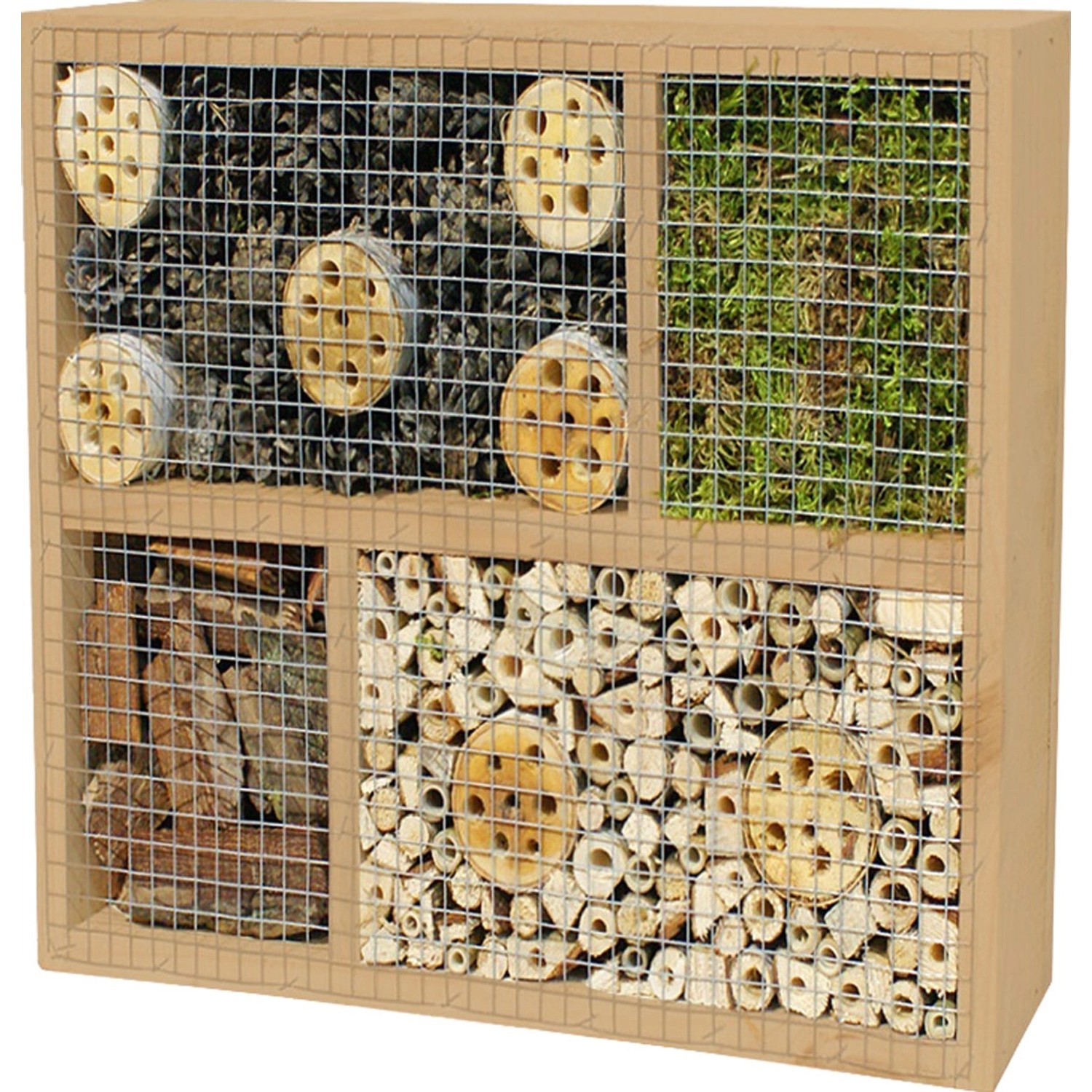 T & J Insektenhaus 2 Labo-3D 36 x 36 x 12 cm günstig online kaufen