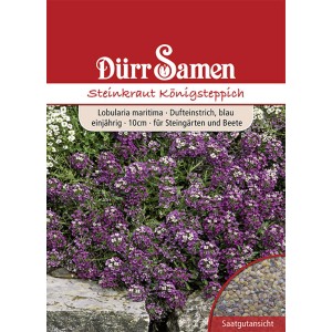 Dürr Samen Steinkraut Königsteppich Weiß, einjährige Blumensamen für Steingärten.