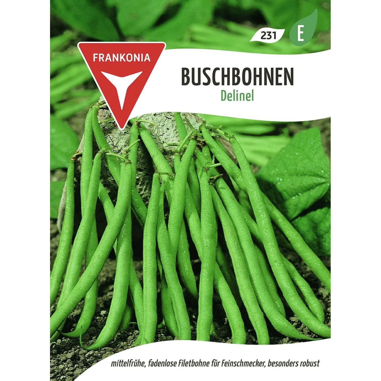 FRANKONIA Buschbohne Delinel