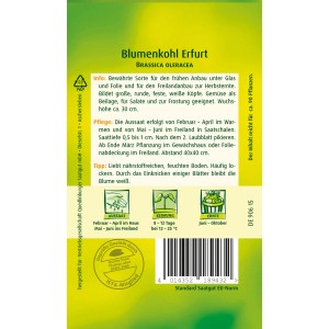 Samenpackung Quedlinburger Blumenkohl 'Erfurt', eine samenfeste Sorte für den Anbau im Freiland und Gewächshaus.