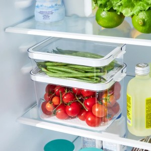 Rotho Cauma Kühlschrank-Organizer Set, 2 transparente Behälter mit Gemüse und Tomaten.