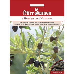 Dürr Samen Olivenbaum Saatgut mit Oliven und Blättern auf der Packung.