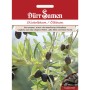 Dürr Samen Olivenbaum Saatgut mit Oliven und Blättern auf der Packung.