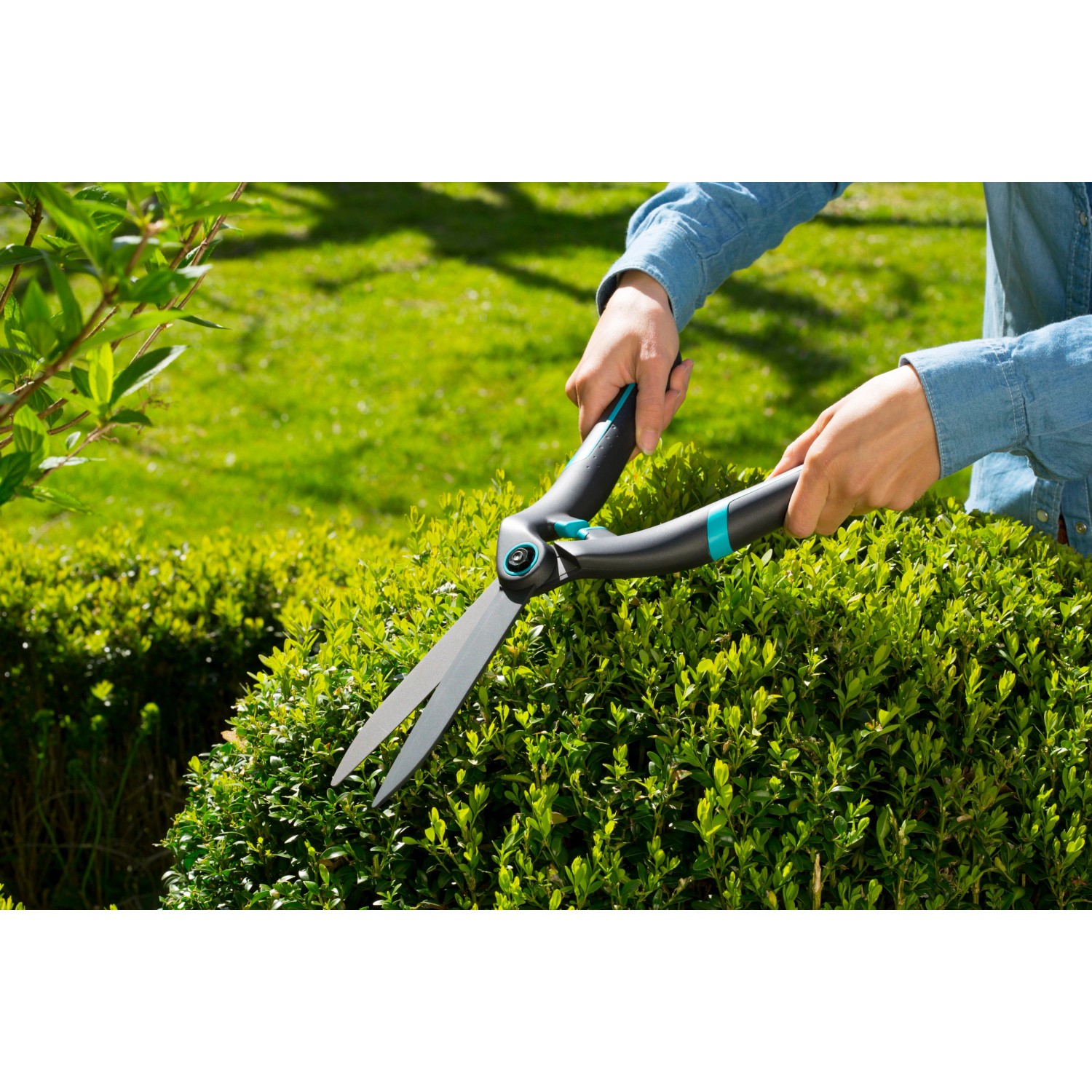 Gardena Heckenschere PrecisionCut kaufen bei OBI