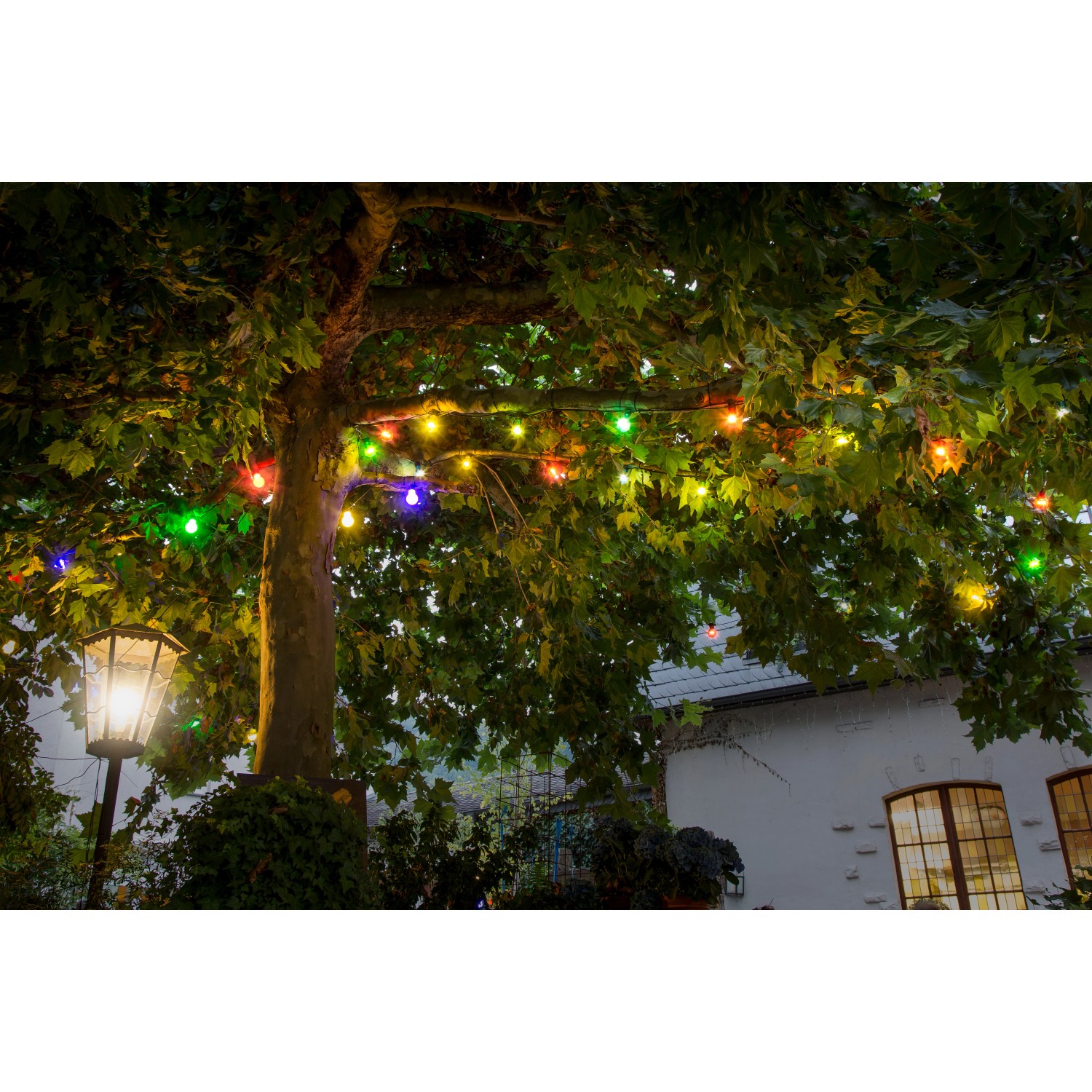 160 für kaufen außen LED-Lichterkette Konstsmide OBI Bunt bei Dioden Biergarten