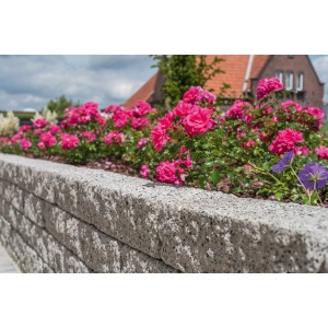 Diephaus Mauerstein Maximo Kina Granit als Beeteinfassung mit blühenden Rosen.