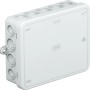 Aufputz OBO Abzweigkasten A 18, lichtgrau, IP55, mit Kabeleinführungen für Elektroinstallationen.