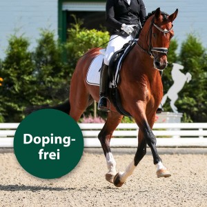 Braunes Pferd mit Reiter beim Reiten, Hinweis auf Dopingfreiheit des Equisept Fliegensprays.
