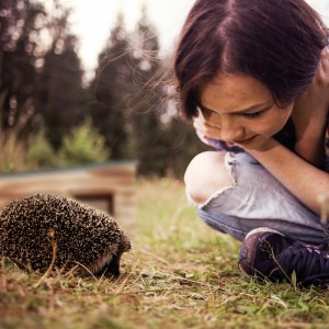 Kind beobachtet Igel im Gras; im Hintergrund ein braunes Igelhaus aus Tannenholz für den Winterschlaf.