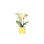 Gelber Exotenherz Übertopf "Freche Früchte" mit Zitrone Design und Orchidee.