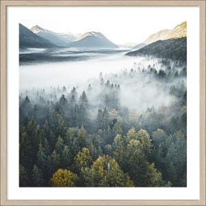 Pro Art Bild „Foggy Forest Atmosphere“, 50x50 cm, mit Wald und Nebel im Holzrahmen.