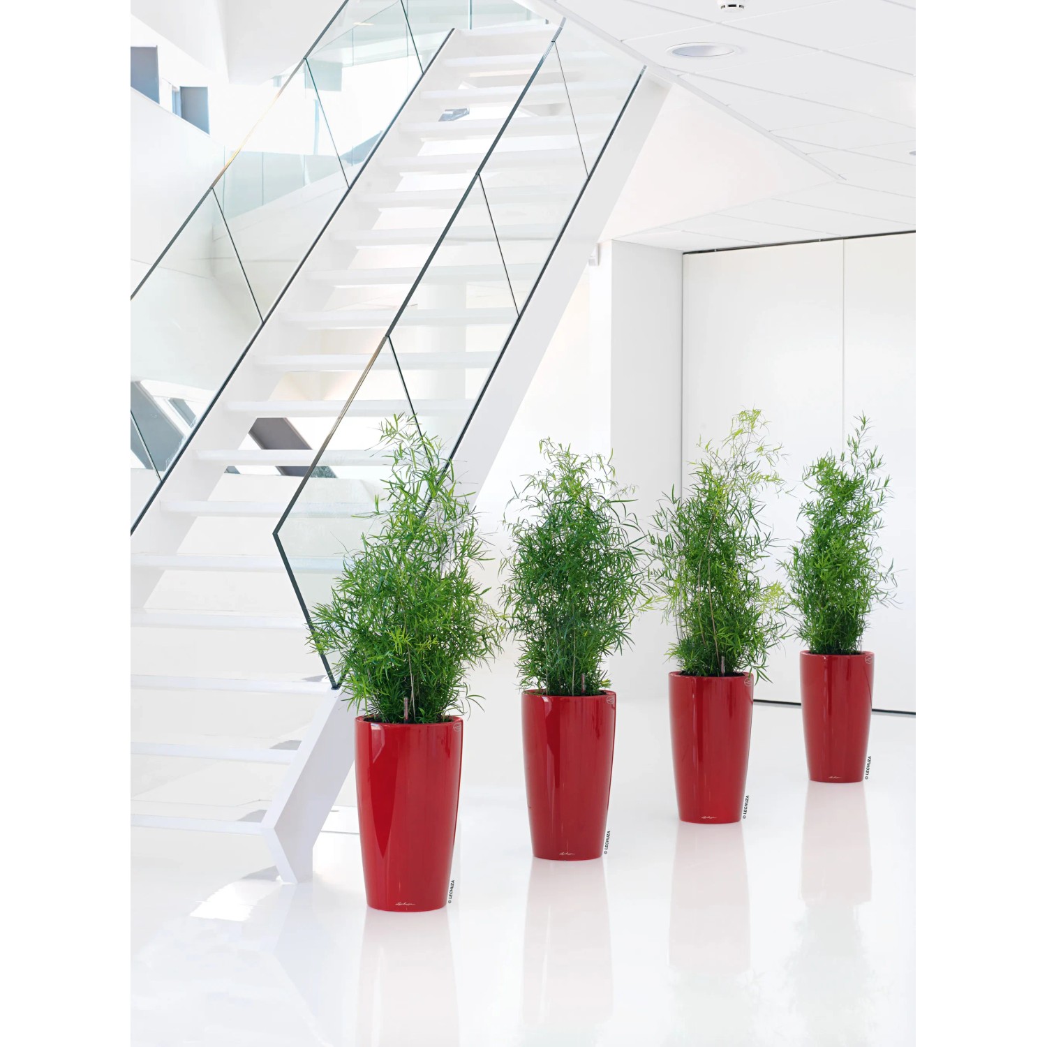 Lechuza Rondo Premium Pflanzsäule, Ø 33cm, 56cm hoch, scarlet rot, hochglänzend, mit grünen Pflanzen.