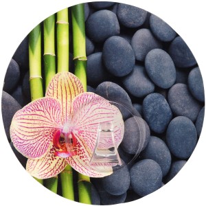 Wenko Static-Loc Wandhaken Uno Spa mit Bambus, Orchidee und Steinen als Motiv.